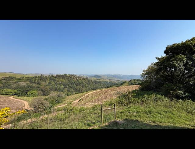 104,000M² FARM FOR SALE IN BALLITO RURAL